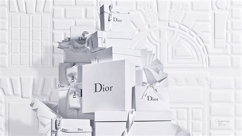 christian dior ein elegantes leben|christian dior official website.